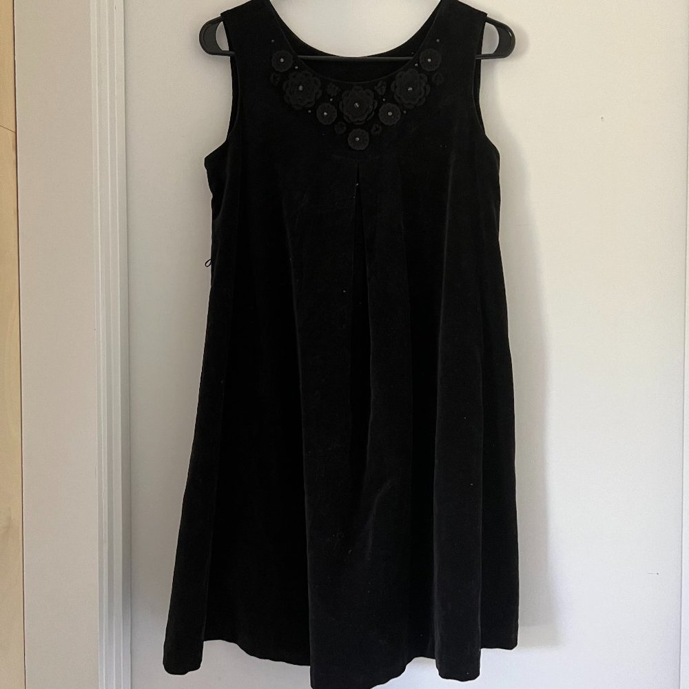 Mini Black Velvet Lithe Dress with Beaded and Flora Embellishment at Collar